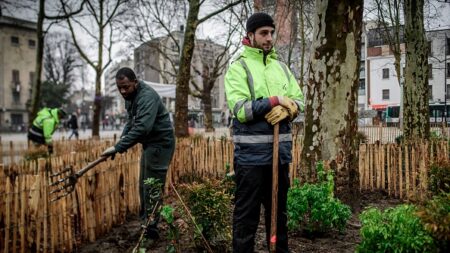 Paris : 76 platanes coupés sur les 250 arbres à abattre à Montreuil, riverains et associations en colère