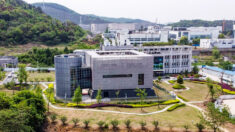 Le laboratoire de Wuhan autorisé à détruire des « fichiers confidentiels » en vertu de son partenariat avec un laboratoire national américain