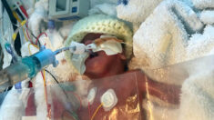 Un bébé prématuré de 17 semaines survit après que ses parents ont refusé à deux reprises de débrancher son respirateur artificiel