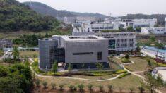 Selon un organisme de surveillance, les NIH ont effacés des informations du laboratoire de Wuhan sur le séquençage génétique du virus du PCC
