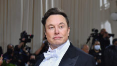 « L’oiseau est libéré »: Elon Musk prend les commandes de Twitter et licencie plusieurs cadres