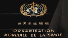 La simulation de la variole du singe, le prétexte de l’OMS pour contrôler la réponse mondiale aux pandémies