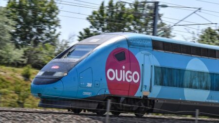 [Vidéo] Rencontrez Romain, le contrôleur qui fait rire les passagers à bord des trains Ouigo