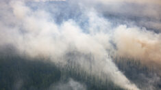 Sibérie: des incendies aggravés par le vent se propagent, au moins cinq morts