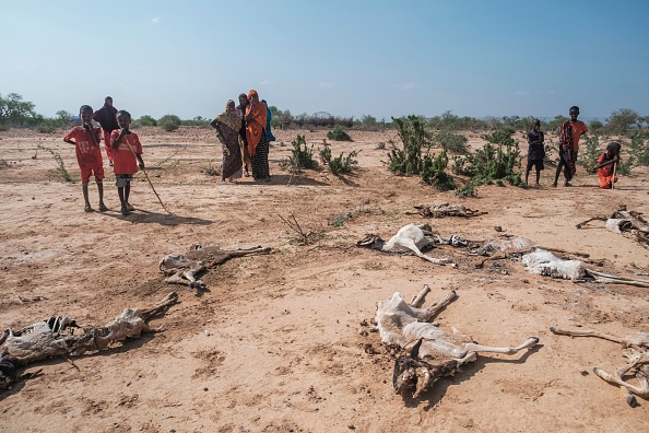 -Des gens se tiennent à côté des carcasses de moutons morts à 80 kilomètres de la ville de Gode, en Éthiopie, le 07 avril 2022. Photo par EDUARDO SOTERAS/AFP via Getty Images.