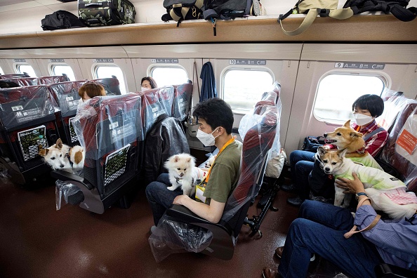 Des passagers montent à bord d'un train à grande vitesse avec leurs chiens lors d'un trajet d'une heure entre Tokyo et la station balnéaire de Karuizawa le 21 mai 2022. Photo BEHROUZ MEHRI/AFP via Getty Images.
