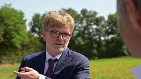 L’ex-cheffe de cabinet du ministre de l’Agriculture Marc Fesneau rejoint Phyteis, lobby des pesticides
