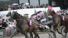 Ain: la foudre s’abat sur un cheval à l’hippodrome, le tuant et blessant quatre personnes