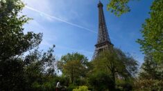 Paris : rassemblement pour sanctuariser des arbres centenaires au pied de la Tour Eiffel