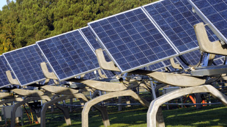 Moselle: un collectif dénonce un projet de parc photovoltaïque équivalent à «30 terrains de foot» dans une zone naturelle classée