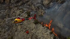 Espagne : des milliers d’hectares brûlés alors que le pays fait face à une vague de chaleur extrême