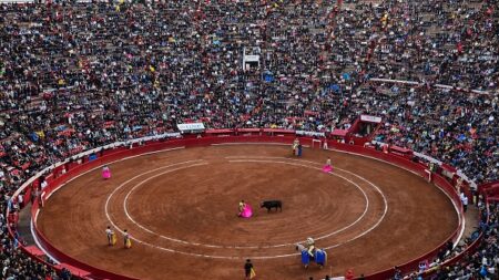 Corridas : la justice mexicaine confirme l’arrêt de la tauromachie dans les arènes de Mexico