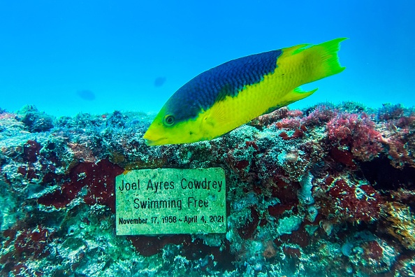 Un poisson nage près d'une plaque commémorative, à 3,25 miles (5,2 km) au large de Key Biscayne, en Floride, le 14 mai 2022. Photo de CHANDAN KHANNA/AFP via Getty Images.