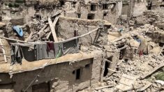 Séisme en Afghanistan: les secouristes s’activent dans des conditions difficiles