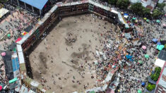 Colombie : l’effondrement d’une tribune d’une arène lors d’une corrida fait quatre morts et des centaines de blessés