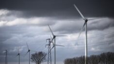 Hauts-de-France : les écologistes veulent faire annuler une subvention destinée à une fédération d’associations anti-éoliennes