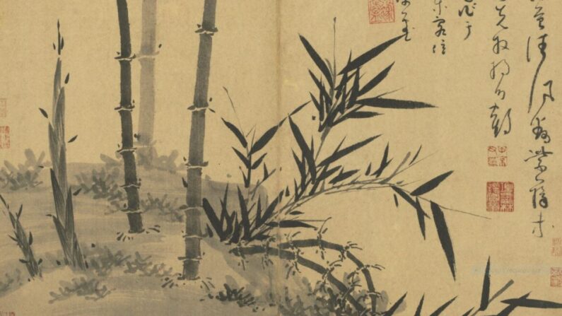 "Manuel de bambous à l'encre, ombres légères projetées sur la mousse verte", 1350, par Wu Zhen. Feuille d'album : Encre sur papier, 40 cm sur 52 cm. (Musée national du Palais, Taipei)