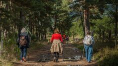 «Une bulle d’oxygène et de joie»: douze malades du cancer du sang montent au sommet d’une montagne