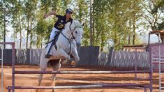 Quartiers nord de Marseille: un ranch situé au pied des immeubles rend le cheval accessible aux jeunes des cités