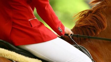 Isère : une jeune fille de 12 ans meurt piétinée par son cheval lors d’un concours hippique