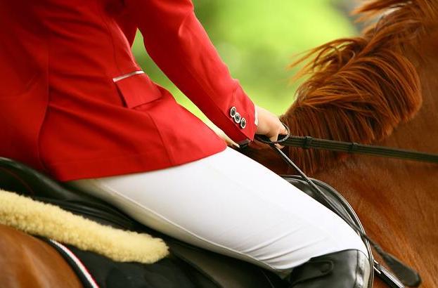 Isère : une jeune fille de 12 ans meurt piétinée par son cheval lors d'un concours hippique