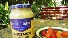 Pénurie de moutarde: par quoi la remplacer dans la cuisine?