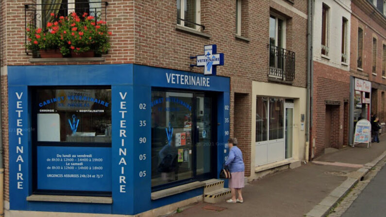 La clinique vétérinaire de Patrick Pattyn à Forges-les-Eaux (Seine-Maritime). (Capture d'écran/Google Maps)
