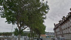 Quelques manifestants arrivent à stopper l’abattage de dix arbres à Deauville