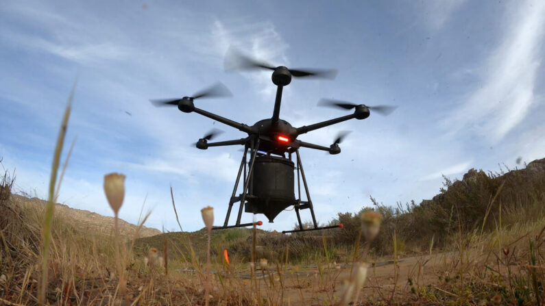 La technologie de pointe des drones est utilisée pour faire revivre les forêts et les forêts tropicales en danger critique d'extinction. (AirSeed)
