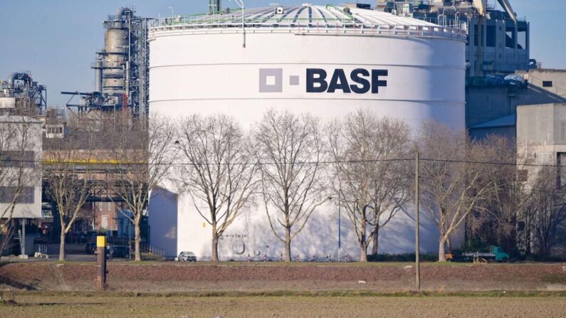 Réservoirs du géant allemand de la chimie BASF sur le site principal de l'entreprise à Ludwigshafen, dans l'ouest de l'Allemagne, le 26 février 2019. (Uwe Anspach/DPA/AFP via Getty Images)