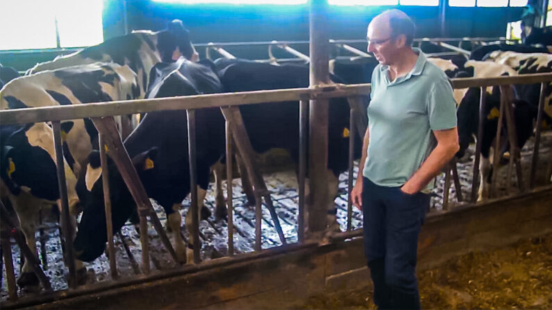 Martin Neppelenbroek, producteur laitier néerlandais, dans sa ferme de Lemelerveld, aux Pays-Bas, le 7 juillet 2022. (Epoch Times)