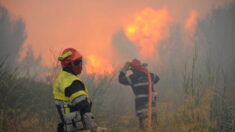 Incendies : multiples départs de feu dans les Bouches-du-Rhône et le Gard face à un fort mistral