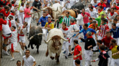 Espagne : cinq blessés au premier lâcher de taureaux pendant la fête de la San Fermin