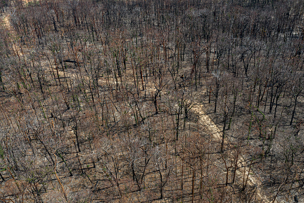 Une vue aérienne de la brousse ravagée par le feu à Torrington le 15 janvier 2020 en Australie. Photo de Brook Mitchell/Getty Images.