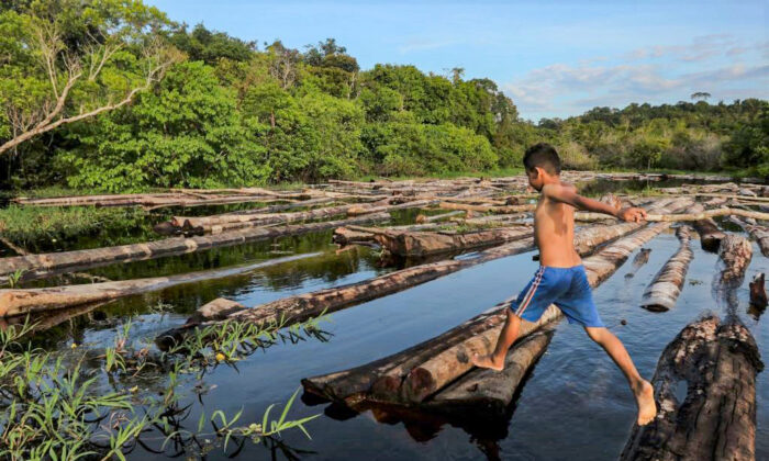 Un garçon saute par-dessus des troncs d'arbres saisis par la police militaire amazonienne sur la rivière Manacapuru à Manacupuru, dans l'État d'Amazonas, au Brésil, le 16 juillet 2020. (Ricardo Oliveira/AFP via Getty Images)