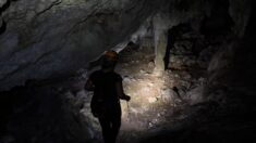Une grotte sépulcrale de l’âge de Bronze découverte lors de travaux en Charente