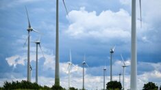 Trois communes normandes et leurs maires contre le projet d’éoliennes de Louversey: « une imposture économique, écologique, financière et sociale »