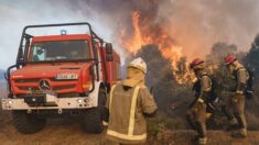 Incendies en Espagne : un pompier et un berger ont perdu la vie dans les feux qui ravagent le nord-ouest du pays