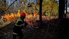 Finistère: 1400 hectares partis en fumée dans les Monts d’Arrée, 500 personnes évacuées