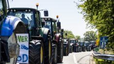 Les agriculteurs néerlandais protestent contre des politiques qui les mèneront à la faillite et entraîneront des pénuries alimentaires mondiales
