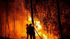Incendies dans le Gard : un homme avoue être l’auteur de deux départs de feu