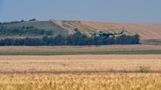 Ukraine : réunion sur les céréales en Turquie, nouvelle aide financière occidentale