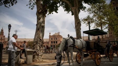 [Vidéo] Majorque: un cheval s’effondre dans la rue sous les yeux de touristes qui ne bougent pas de la calèche