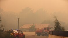 Feux de forêt en France : plus de 7.000 hectares brûlés en Gironde