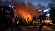 Gironde: les chasseurs préparent un banquet pour les pompiers, «après 15h passées dans le brasier»