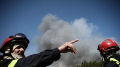 Incendies en Ardèche : 950 hectares ravagés par les flammes, des évacuations en cours