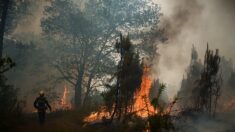 Feux dans l’Hérault : un pompier volontaire soupçonné d’être un pyromane en garde à vue