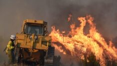Espagne: grièvement brûlé en voulant sauver le village de Tabara, sa pelleteuse est engloutie par les flammes