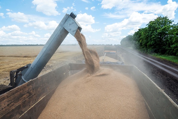 Des agriculteurs récoltent du blé dans la région ukrainienne de Kharkiv le 19 juillet 2022. Photo de SERGEY BOBOK/AFP via Getty Images.