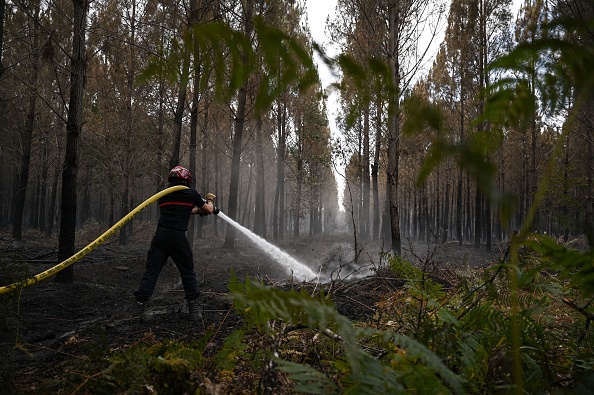 Alors que le feu se rapprochait de Landiras (Gironde), le gérant du Parc animalier sud-Gironde a dû prendre une décision difficile, espérant que c'était la meilleure. (PHILIPPE LOPEZ/AFP via Getty Images)